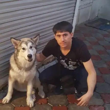 Артём, 34Шымкент, Казахстан 