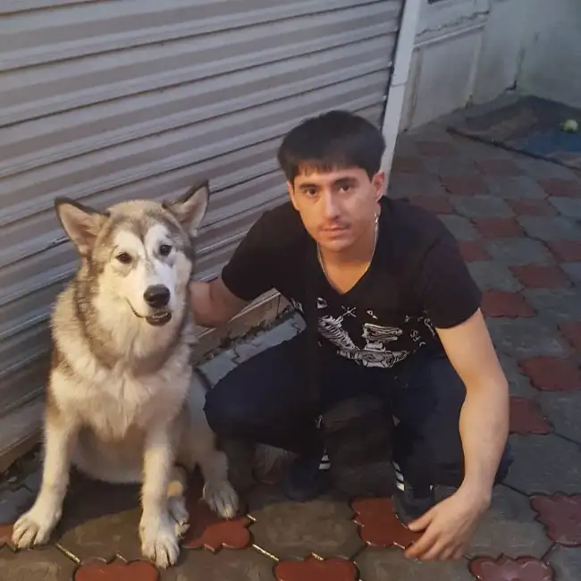 Артём, 34, Шымкент, Казахстан - KZ DATE
